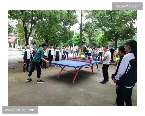 北京乒乓球队在阵地战中的表现分析与未来发展展望