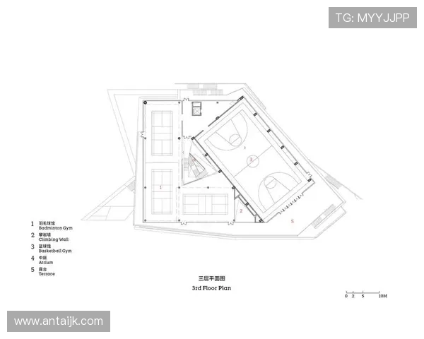 南京攀岩队实力对比深度解析及未来发展趋势探讨