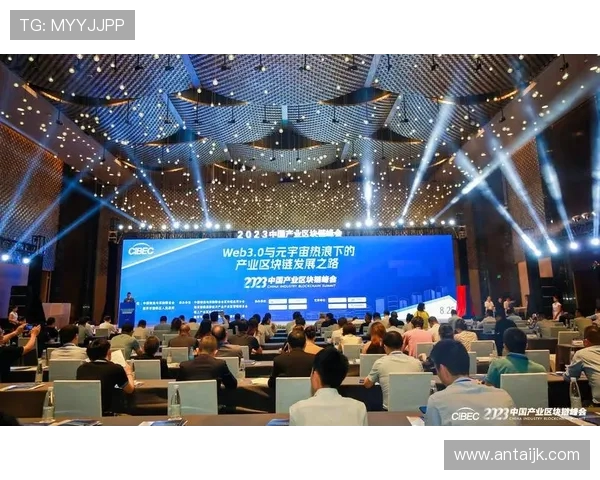 南京篮球队运营体系解析与战术创新的深度探讨