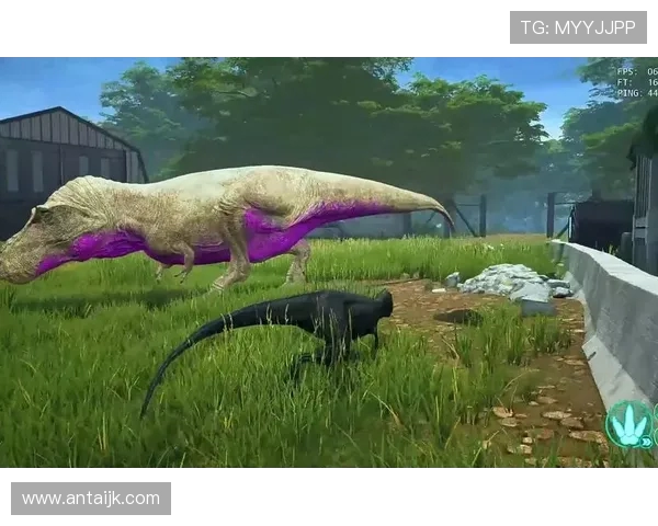 张军在和平精英中的成长与挑战探索深度对话人生哲学