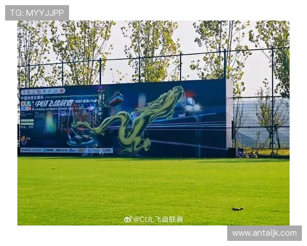 深圳飞盘队状态解析：聚焦飞盘运动的热潮与挑战