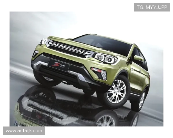 山丘黄蜂与梅特兰野马的激烈对决揭示了球队实力与战术的较量