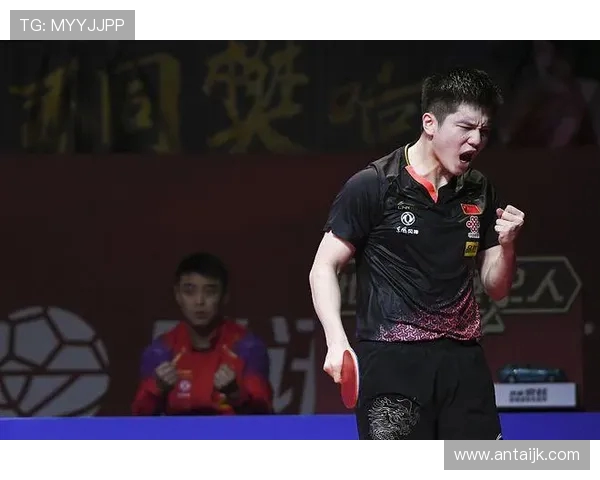 南京乒乓球队状态引发热议球迷对未来表现充满期待与担忧