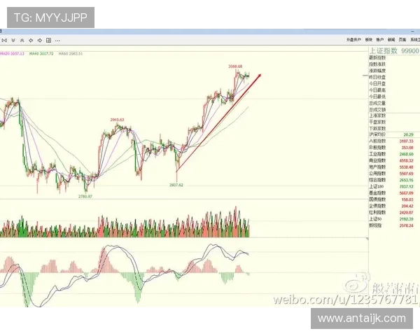 南京羽毛球队防守策略解析与战术创新探讨